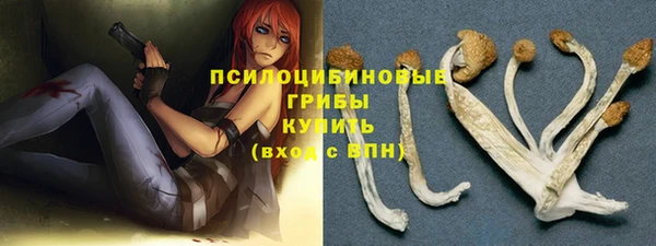 тгк Новокубанск