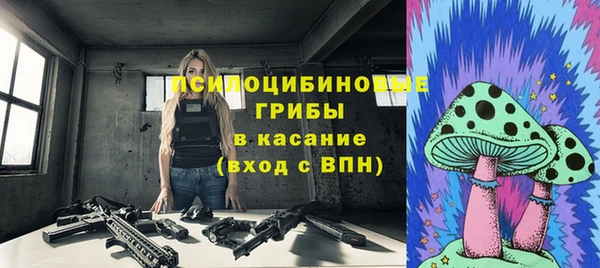 таблы Новозыбков
