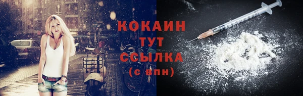 таблы Новозыбков