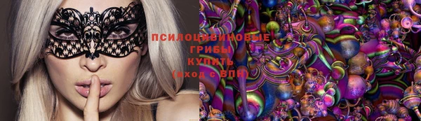 таблы Новозыбков
