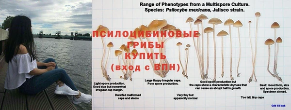 крисы Волоколамск