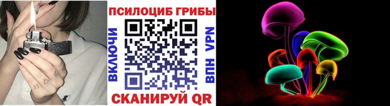 сколько стоит  Островной  Псилоцибиновые грибы Magic Shrooms 